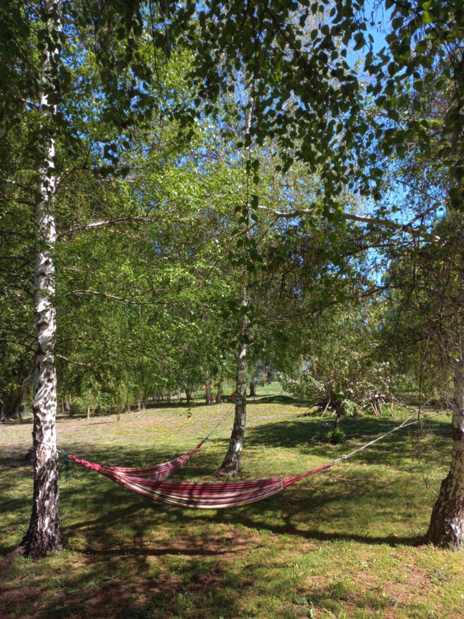 Hostel Lc Hoyo de Epuyén Zewnętrze zdjęcie