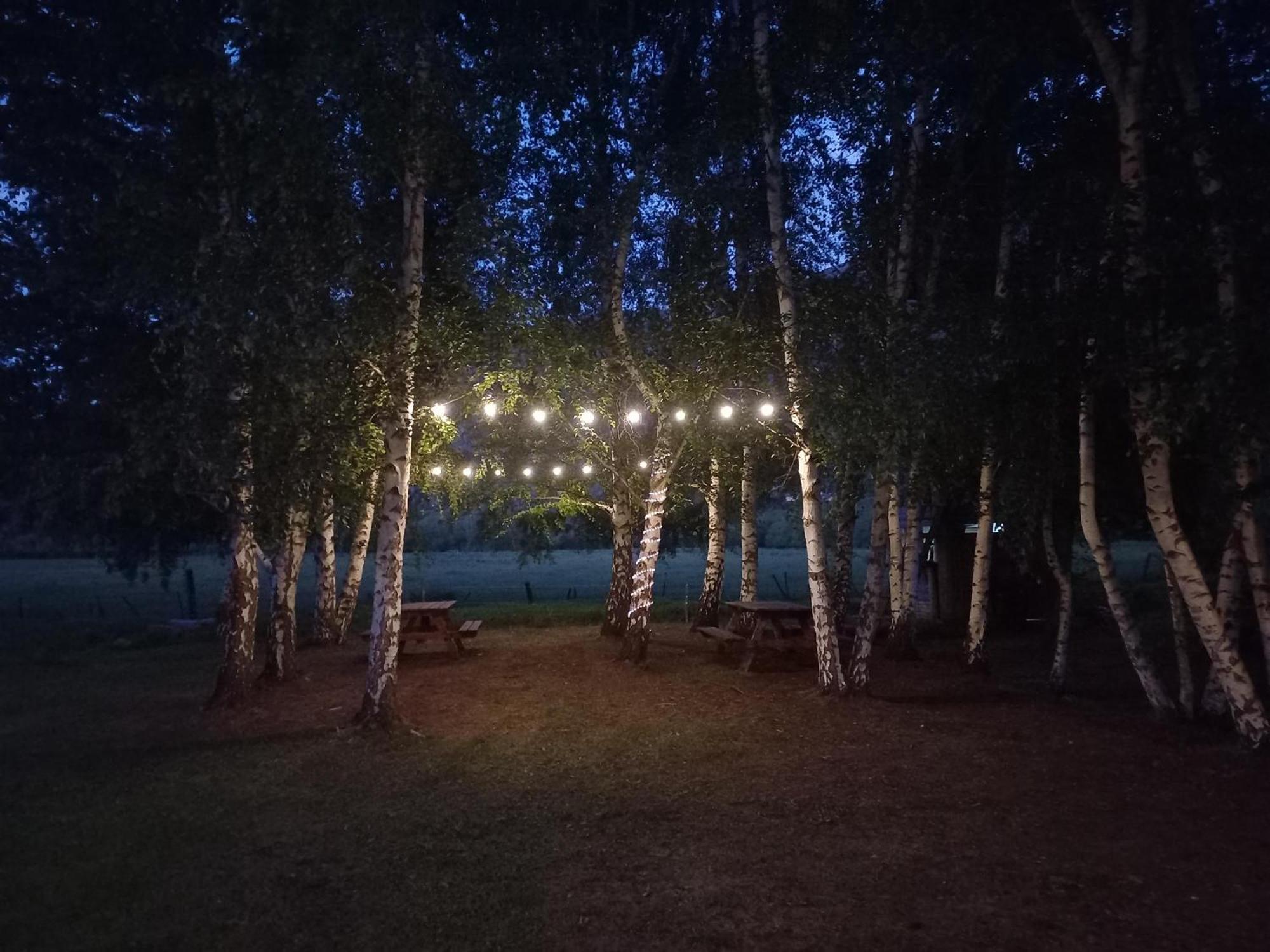 Hostel Lc Hoyo de Epuyén Zewnętrze zdjęcie